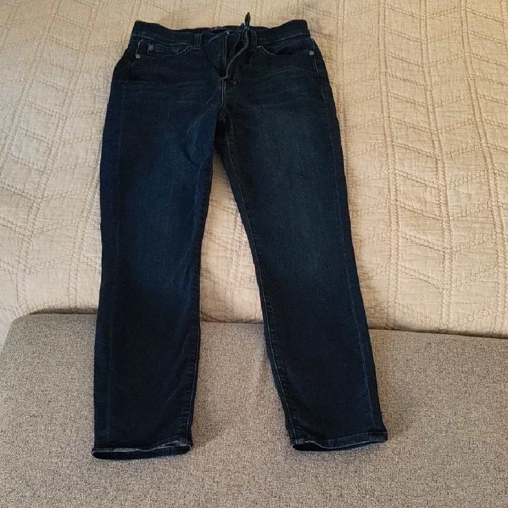 7 For All Mankind Blue Skinny Jeans